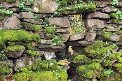 121923_0152_URAGH_CIRCLE