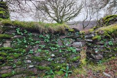 121923_0153_URAGH_CIRCLE