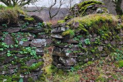121923_0154_URAGH_CIRCLE