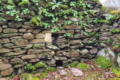 121923_0158_URAGH_CIRCLE