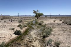 Area 51 Spring Break Trip 2026 - Warm Springs, Nevada. https://technowanderer.com/?p=9219 Adventures of Thomas and Cian, April 17, 2026.  https://technotink.net/adventures/  No use of photos or media without permission (c) 2026 Thomas Baurley, Techno Tink media www.technotink.com. All rights reserved.