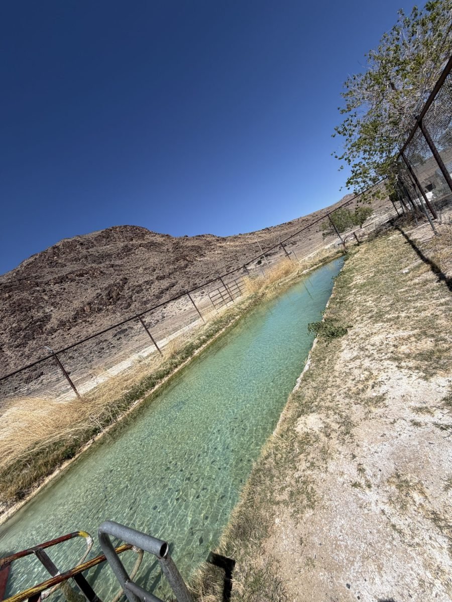 Area 51 Spring Break Trip 2026 - Warm Springs, Nevada. https://technowanderer.com/?p=9219 Adventures of Thomas and Cian, April 17, 2026.  https://technotink.net/adventures/  No use of photos or media without permission (c) 2026 Thomas Baurley, Techno Tink media www.technotink.com. All rights reserved.