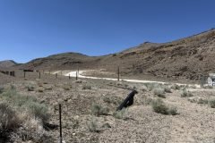 WARMSPRINGS-NEV-041726-261-scaled