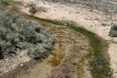Area 51 Spring Break Trip 2026 - Warm Springs, Nevada. https://technowanderer.com/?p=9219 Adventures of Thomas and Cian, April 17, 2026.  https://technotink.net/adventures/  No use of photos or media without permission (c) 2026 Thomas Baurley, Techno Tink media www.technotink.com. All rights reserved.