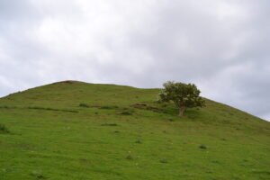 Tiveragh Fairy Hill (Cushendall)