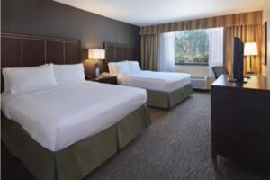 Holiday Inn & Suites : Anaheim (1 Blk/Disneyland®)