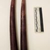 Taper/Candlestick: Beeswax, Natural.  hand-made - single or pair candlestick: 8-9" - Image 10