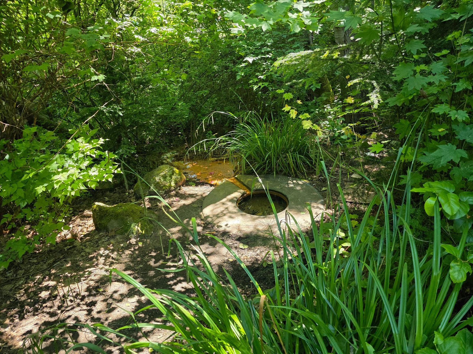 Licton Spring, Seattle: An American Holy Well