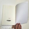A Techno Tinker Guide to Gig Work: Corporate Anthropology Field Manual (Thomas Baurley. Paperback 2025) - Image 10