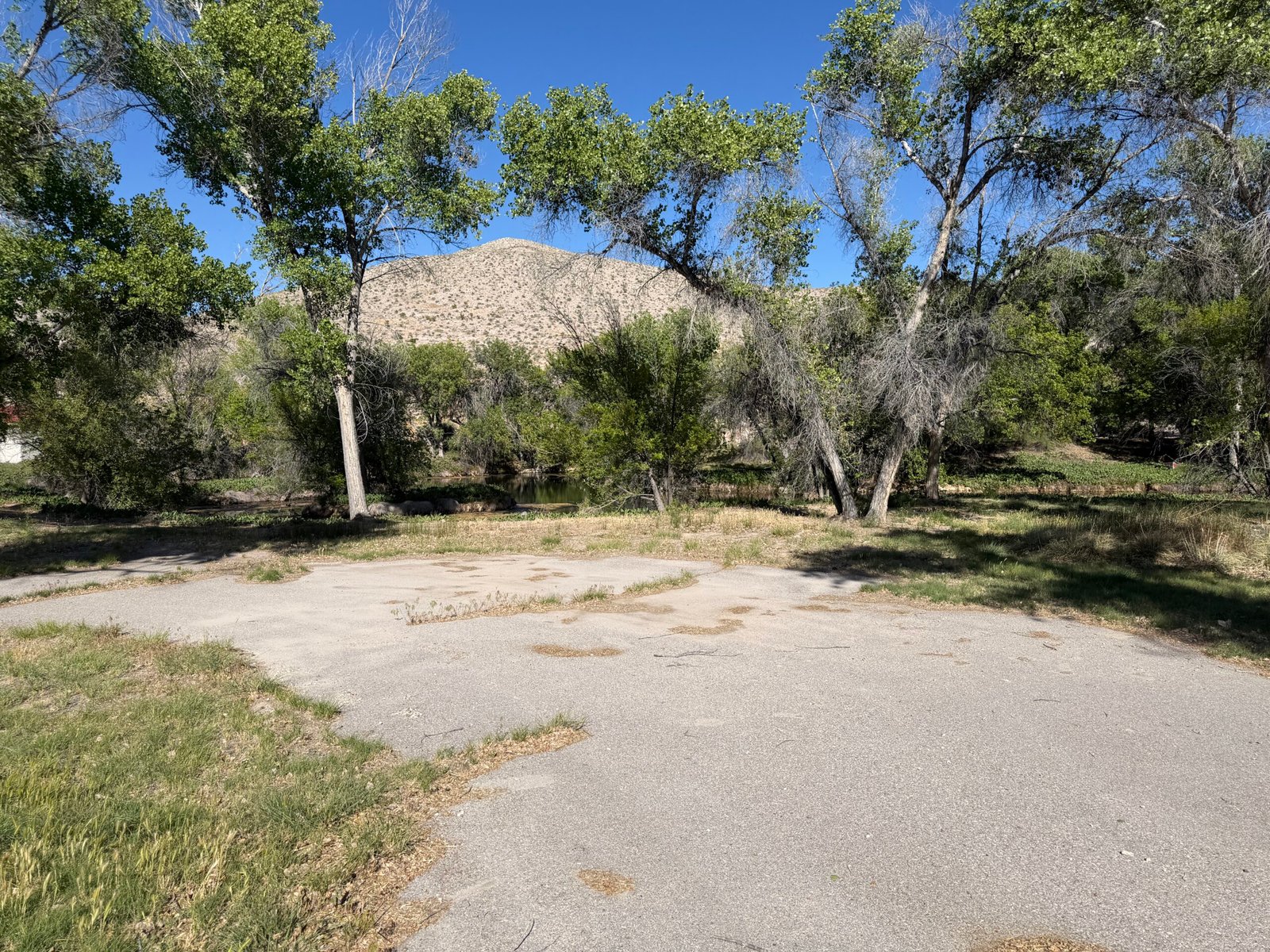 Ash Springs / Crystal Springs