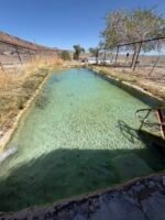 Warm Springs, Nevada