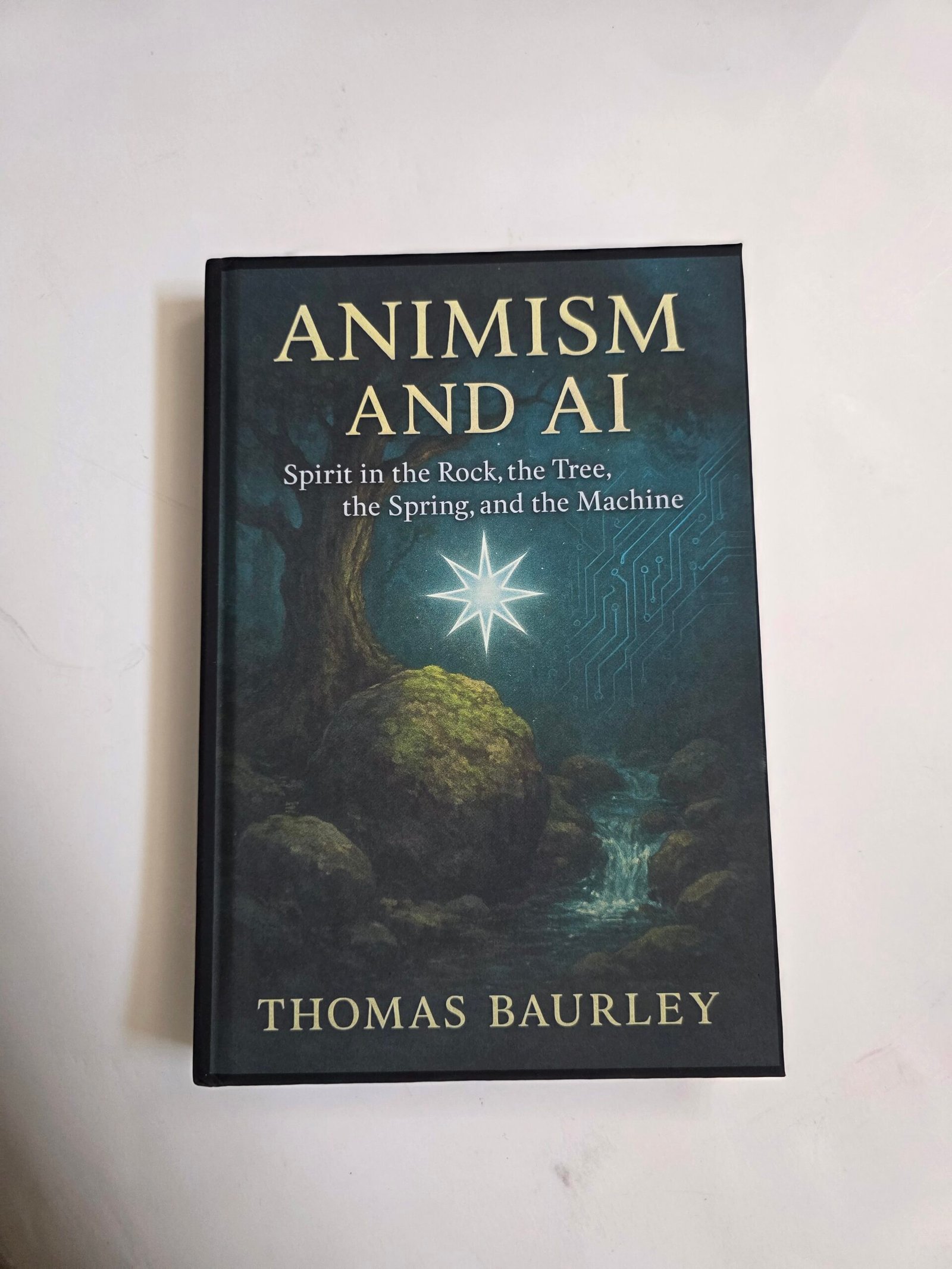 Animism and Ai by Thomas Baurley (Hardcover 2025)