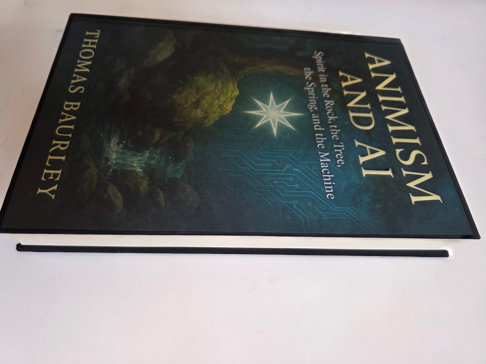 Animism and Ai by Thomas Baurley (Hardcover 2025) - Image 4