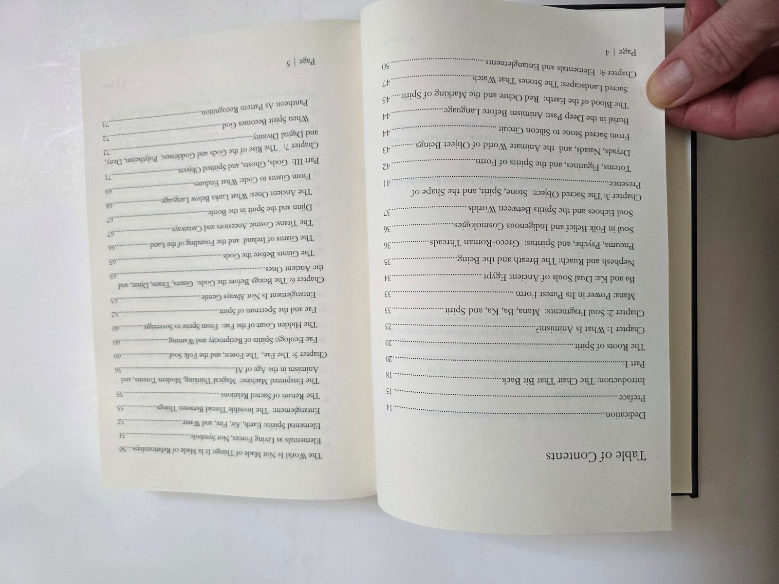 Animism and Ai by Thomas Baurley (Hardcover 2025) - Image 8