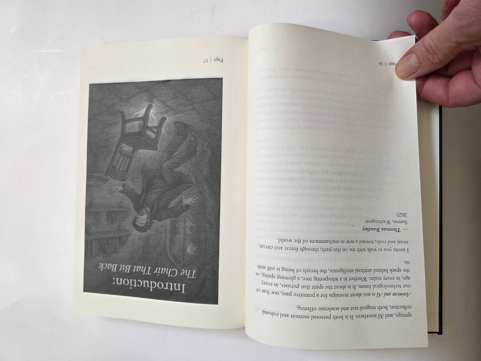 Animism and Ai by Thomas Baurley (Hardcover 2025) - Image 10