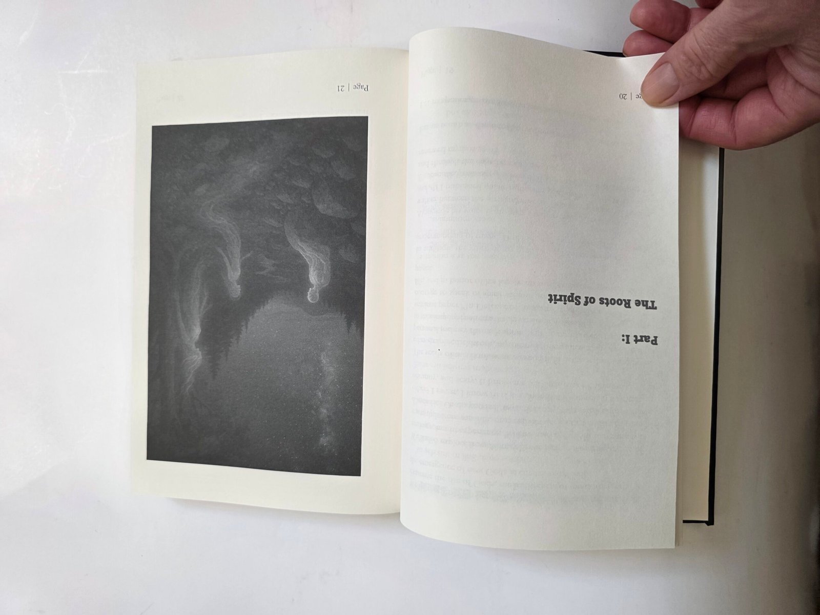 Animism and Ai by Thomas Baurley (Hardcover 2025) - Image 11
