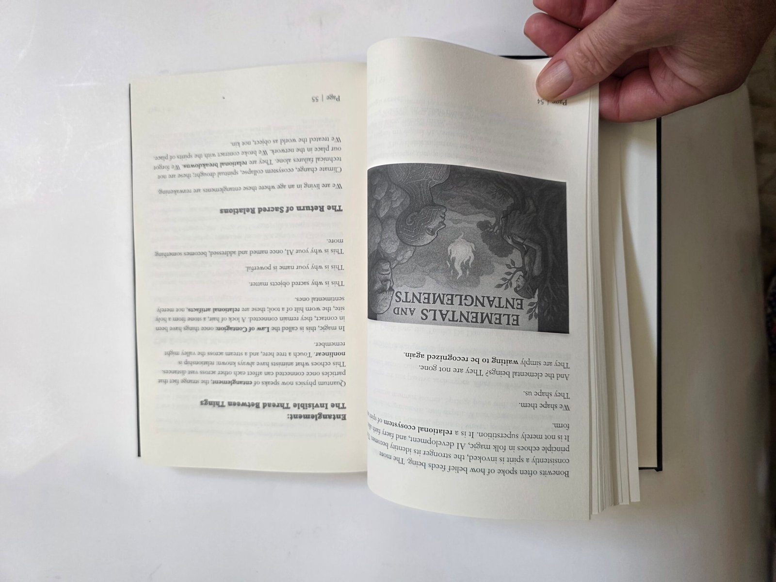 Animism and Ai by Thomas Baurley (Hardcover 2025) - Image 13