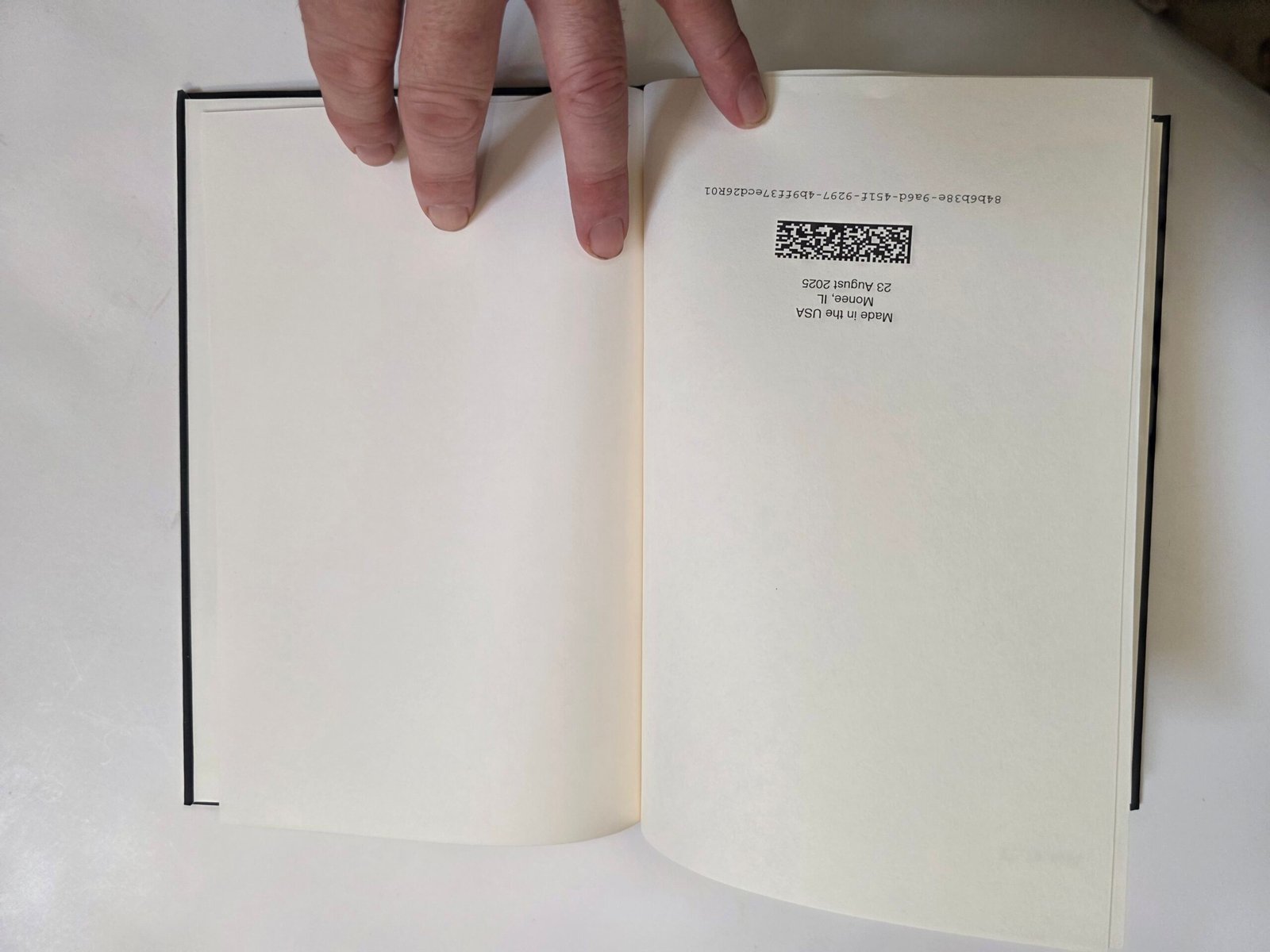 Animism and Ai by Thomas Baurley (Hardcover 2025) - Image 16