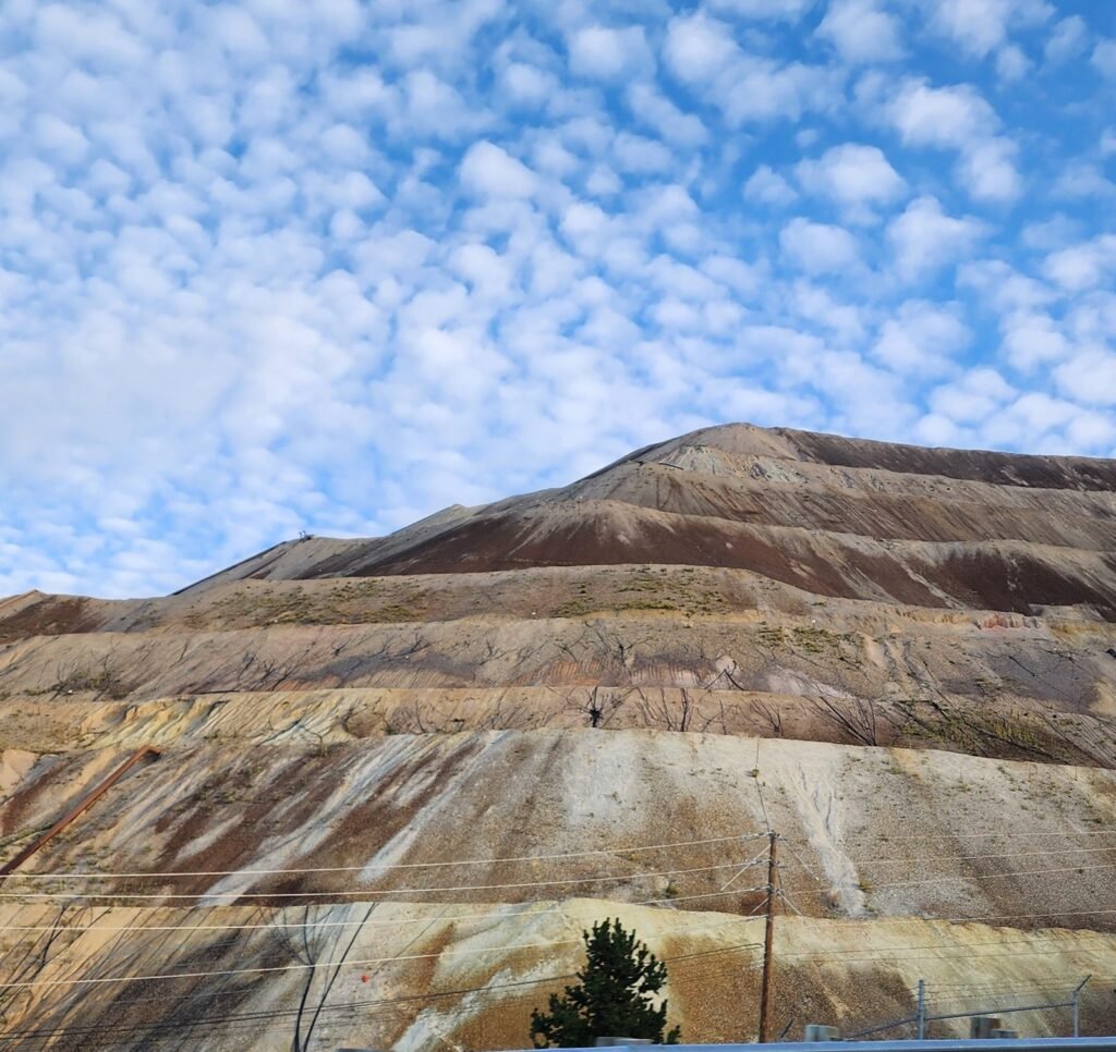 Rockhound & Fossil Hunter Gift Guide: Gear for Treasure Seekers